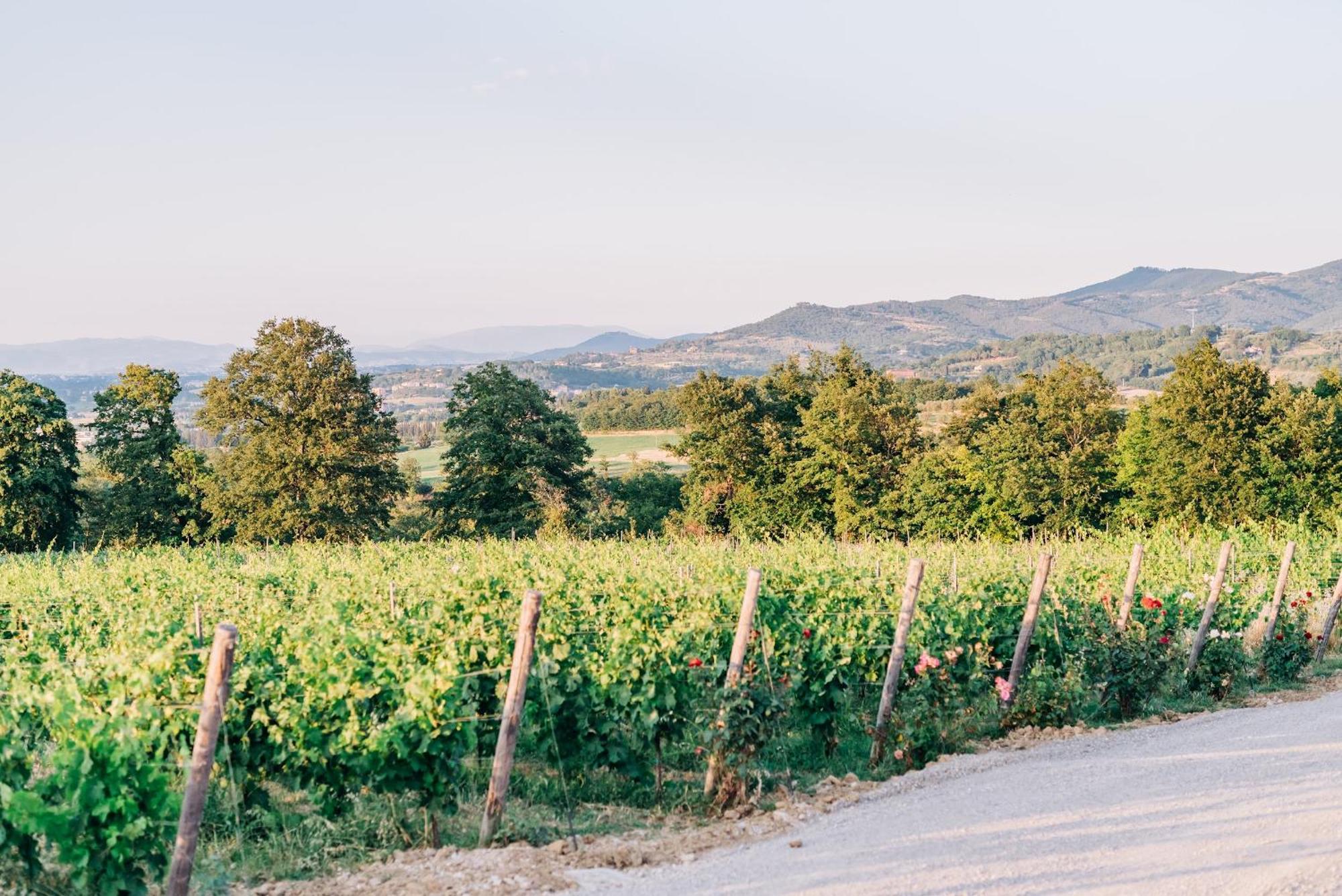 Вілла Borgo Siliano - Antico Podere Siliano Читта-делла-П'єве Екстер'єр фото