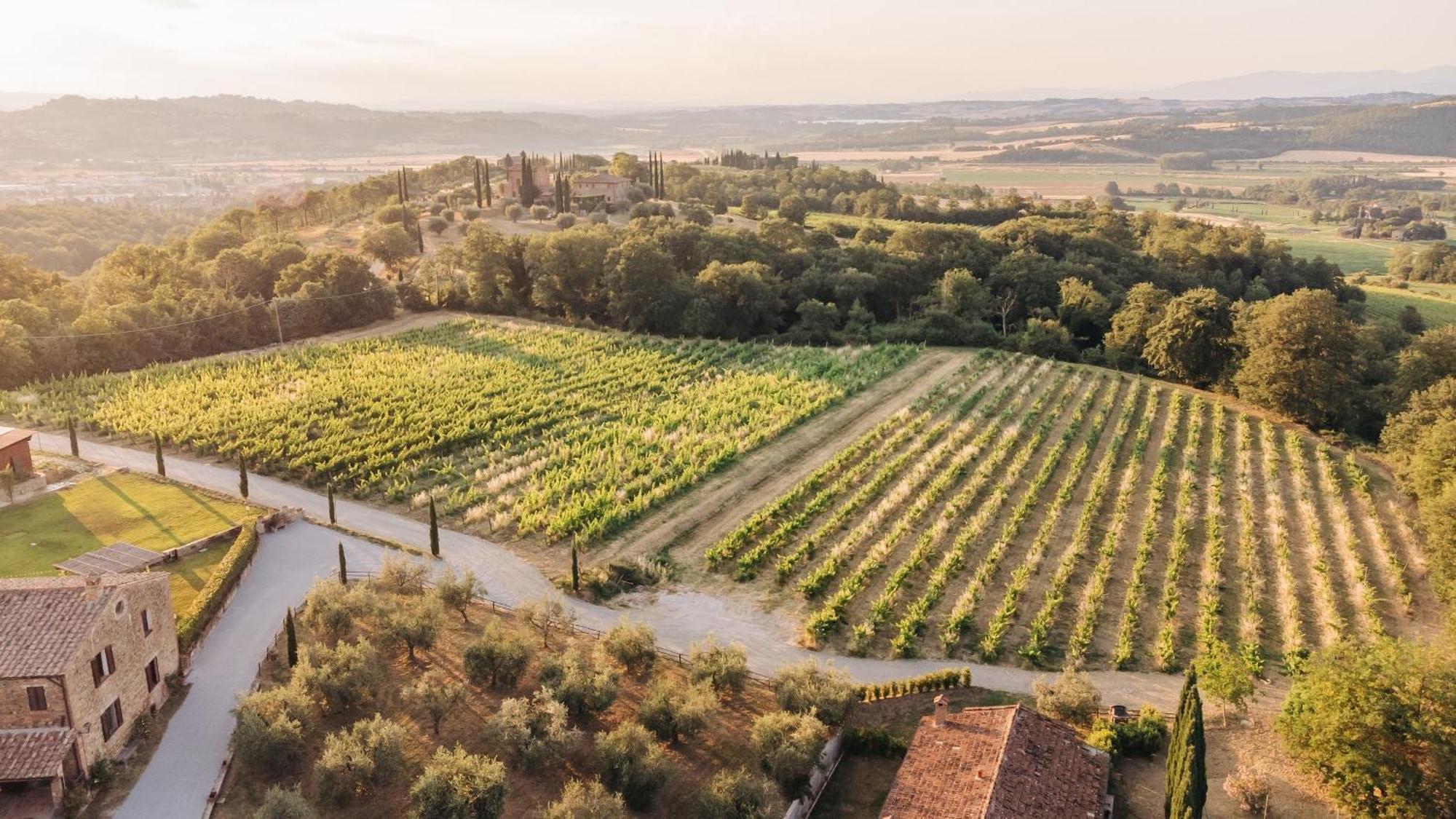 Вілла Borgo Siliano - Antico Podere Siliano Читта-делла-П'єве Екстер'єр фото